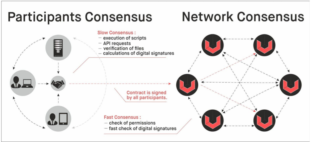 Принцип консенсуса. Universa Blockchain. Universa криптовалюта. Схема достижения консенсуса. Картинку по запросу consensus.