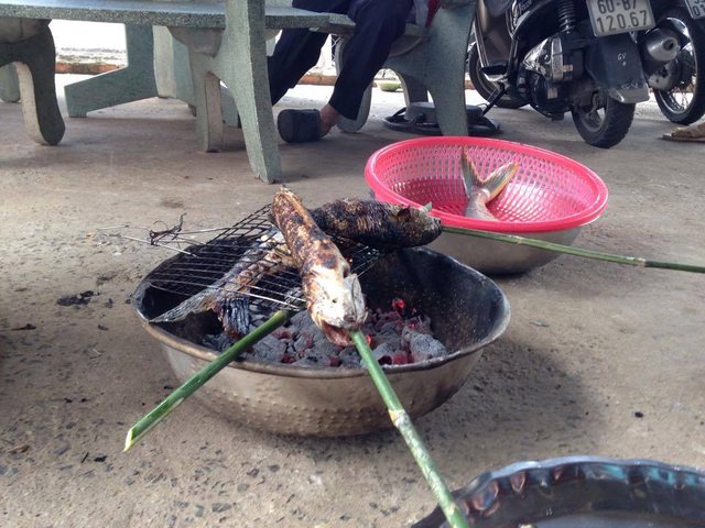 2014-12-22 - Monday - 07:53 AM - Long Thanh - 10345532_776058272432136_2742924718187566729_n.jpg