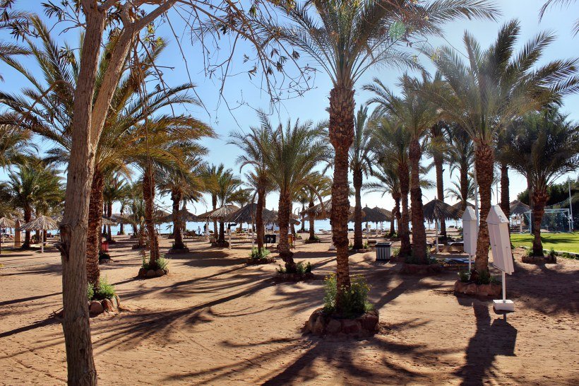 египет в январе стоит ли ехать 2024