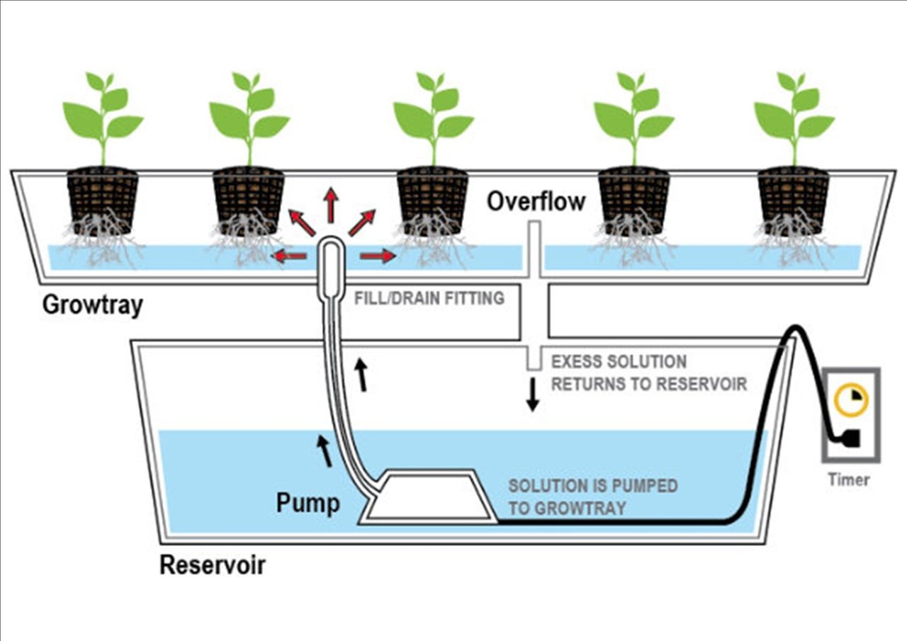 Схема Гидропоники
