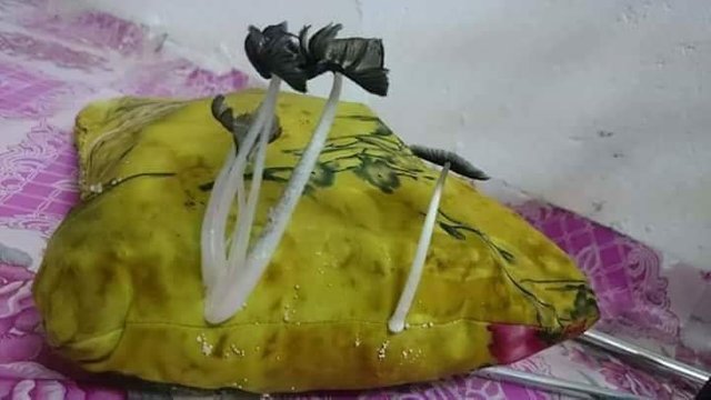 QER876876767687877899891 (1).jpg