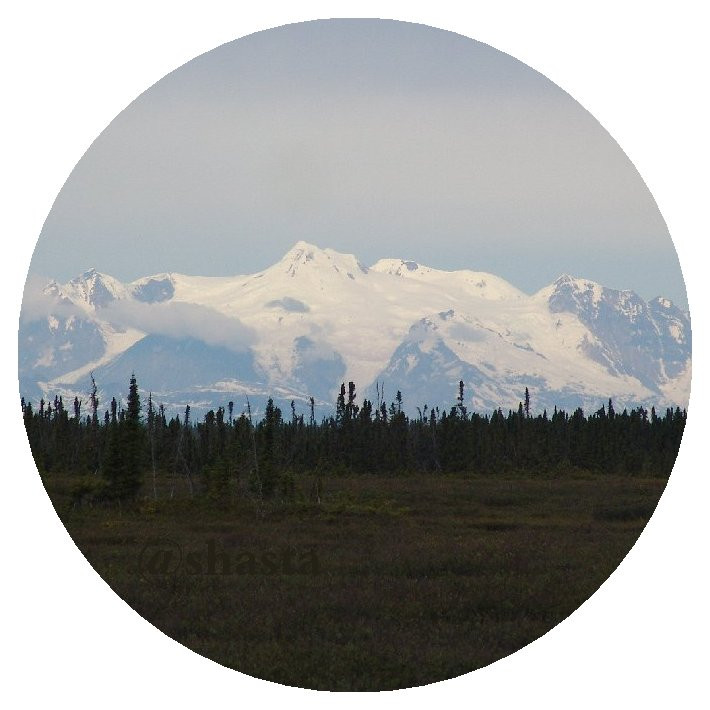shasta2019jan7th47augustine1io.jpg