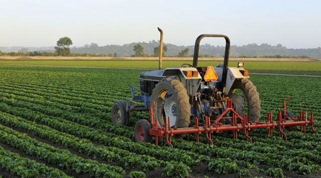 agribusiness-funding-800x445-1.jpg