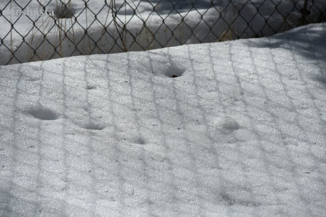 shasta2019march27thgeometry7io.jpg