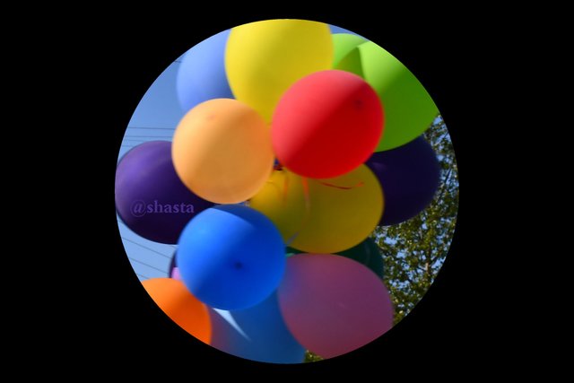 shasta2019feb28th47balloons7io.jpg