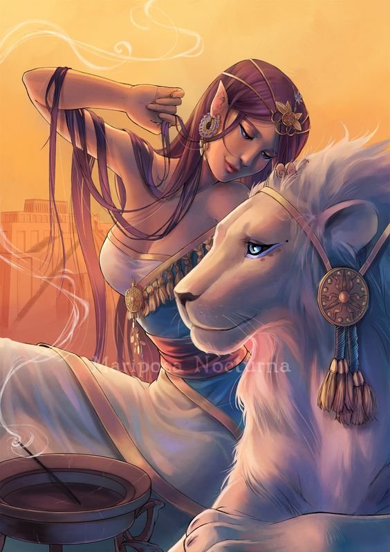 فينوس.jpg