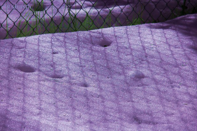 shasta2019march27thgeometry5io.jpg