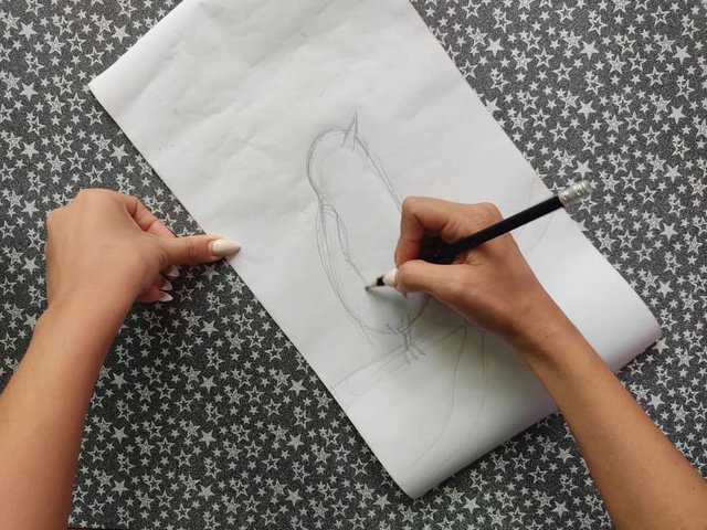 saracamperopajotangaraantifaz1.jpg