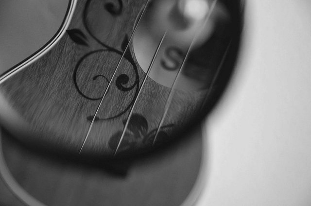 popravak-izbliza-LupuLele(ukulele_pod_lupom)-150418-Jurašković_Elizabeta.jpg