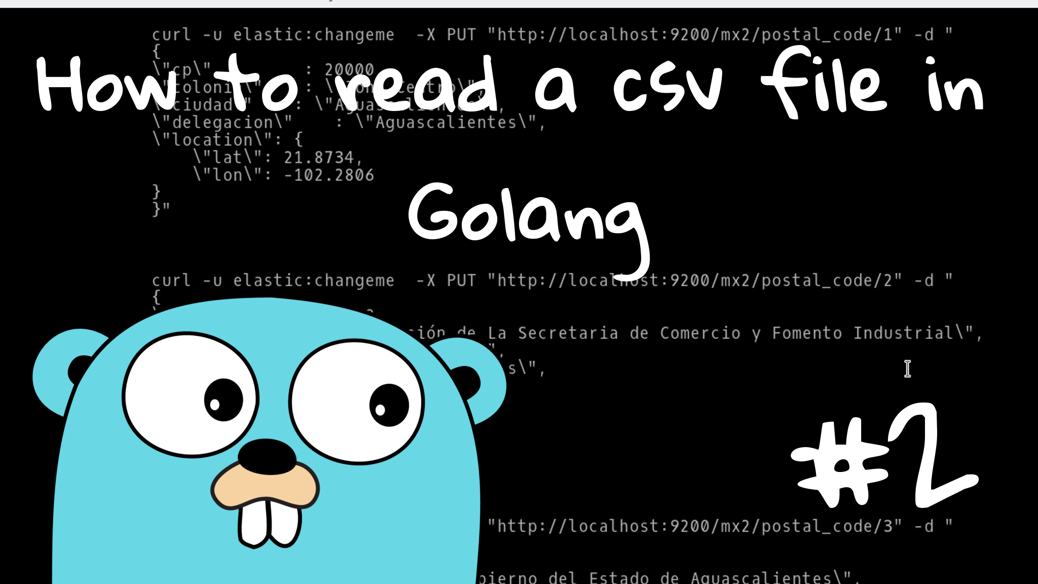 Golang os