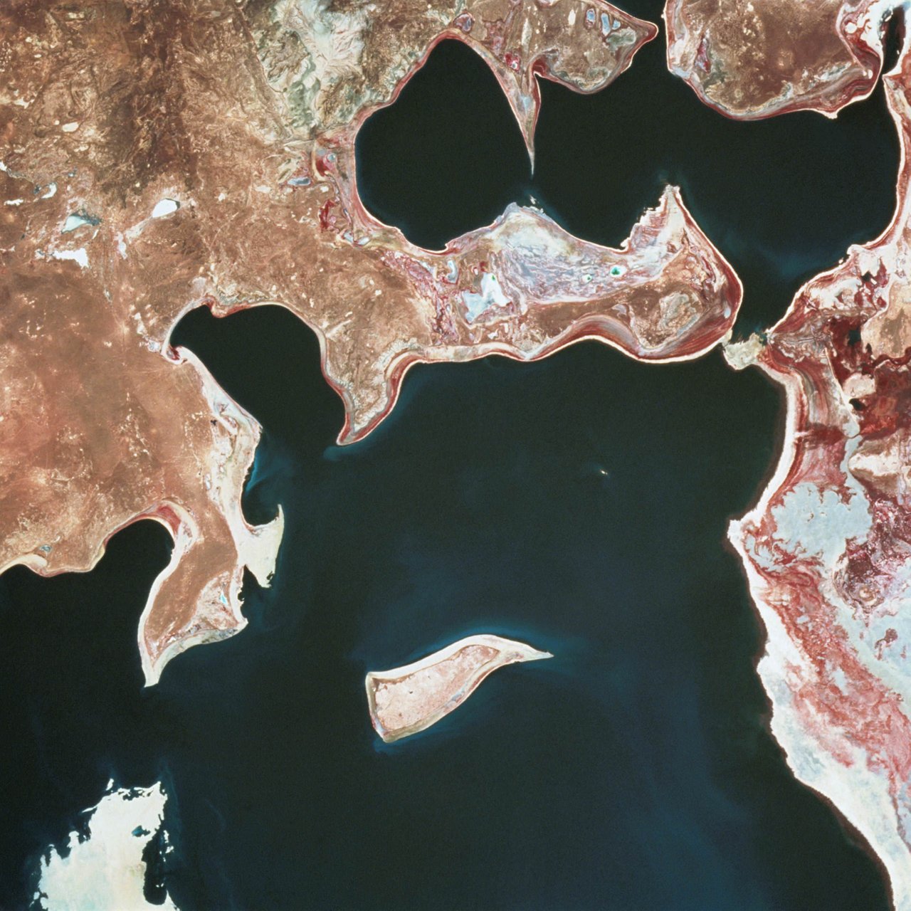аральское море сегодня фото со спутника