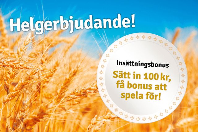 310_ib-mail-insattningsbonus-augusti-2017.jpg