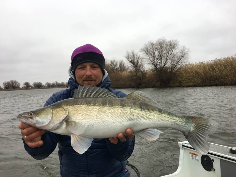 питерский рыбак. рыбалка в спб на неве. рыбалка новости с водоемов спб. вести с водоёмов спб и ленинградской области. рыбалка спб ладожское озеро.