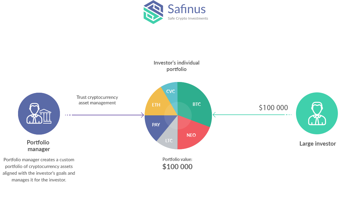 Крипто активы. Investment Portfolio. Crypto safe. Доверительное управление криптовалютой через API. Инвестиции в крипто стартапы.