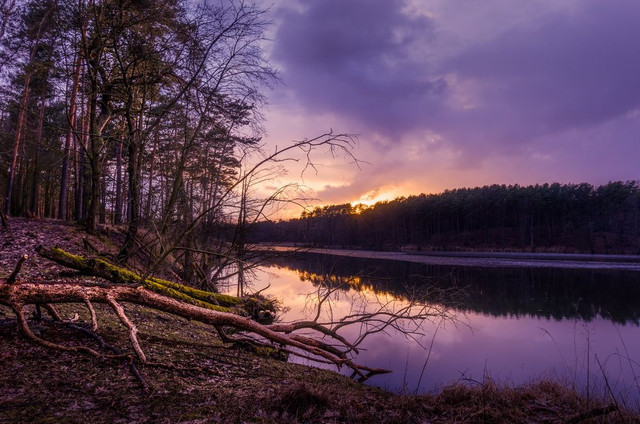 Photo by Dmytro Korol