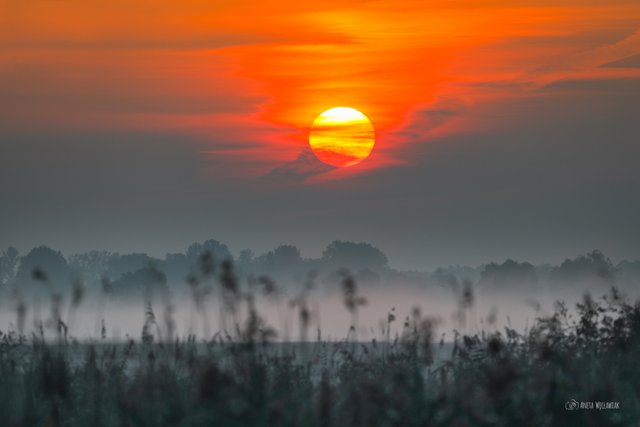 IMG_6373_FB.jpg