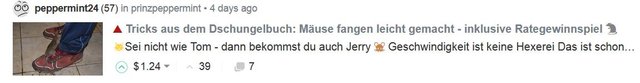 banner-maus.JPG