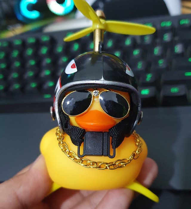 cute duck.jpg