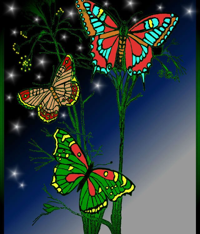 yfmariposa1.jpg