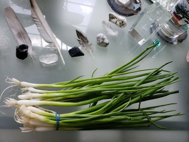 greenOnions.jpg