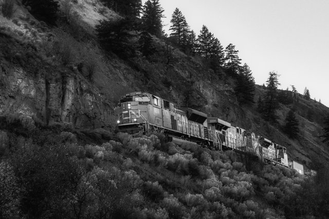 PA100061-BW.jpg