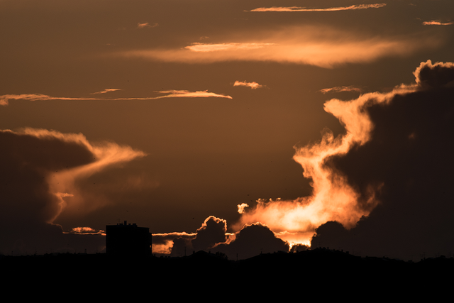 DSC_2156-ST.png