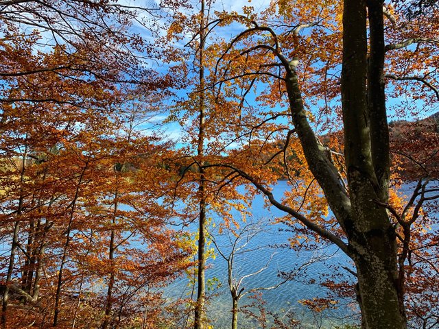 Laudachsee1.jpg