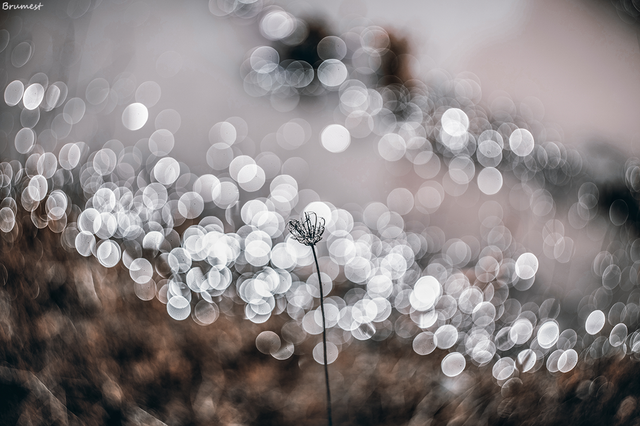 DSC00720-ST.png