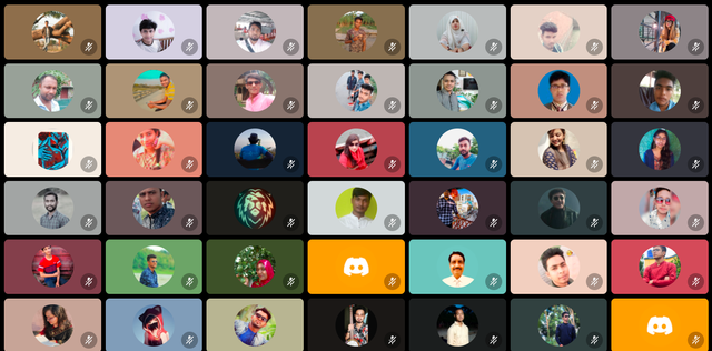 Untitled-11.png