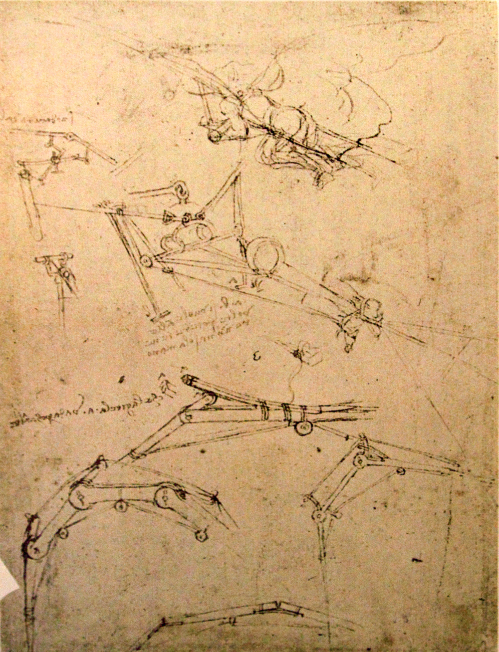 Рисунки леонардо да винчи карандашом в высоком качестве