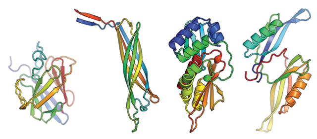 new-enzymes.PNG