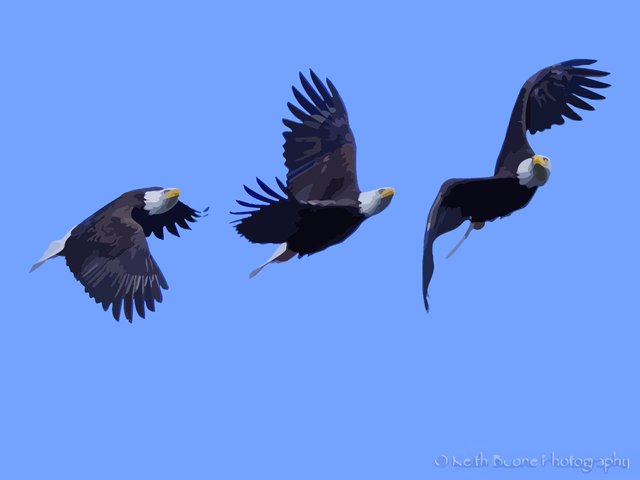 threeeagles.jpg