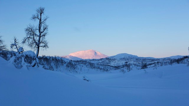 Vinterfjell.jpg