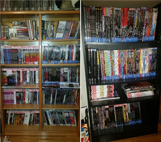 Bookshelves.jpg