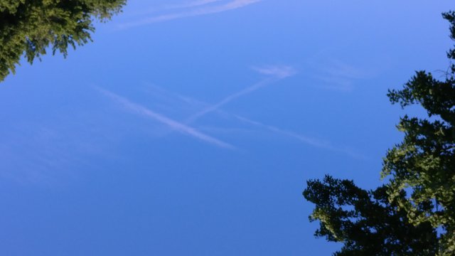chemsecond6.jpg