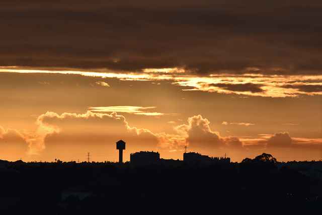 DSC_0919-ST.png