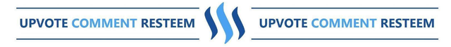 steemit_bar.png