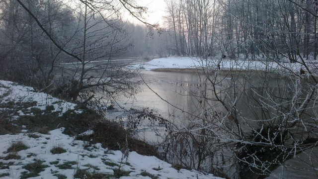 oltet (1).jpg