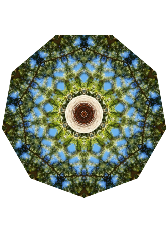 KellScope-1.png