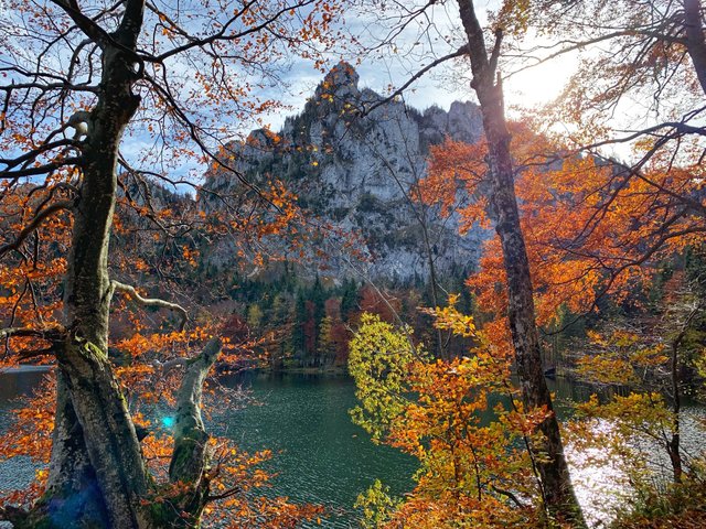 Laudachsee2.jpg