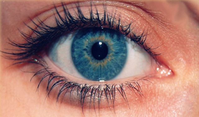 eye-1428130.jpg