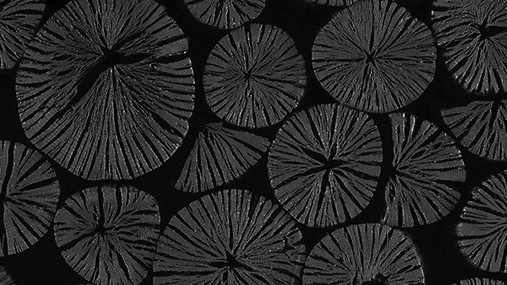 150919_7345.jpg