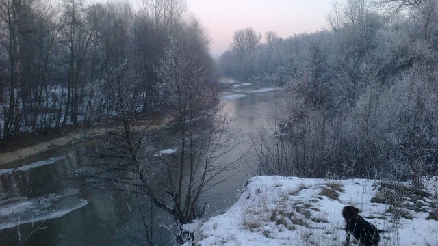 oltet (2).jpg