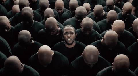 giphy (4).gif