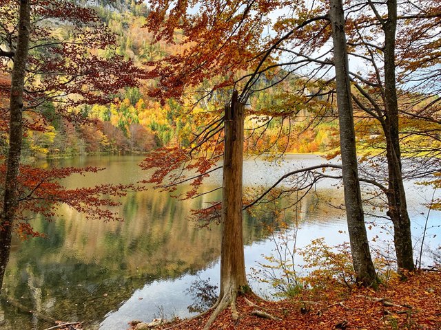 Laudachsee4.jpg