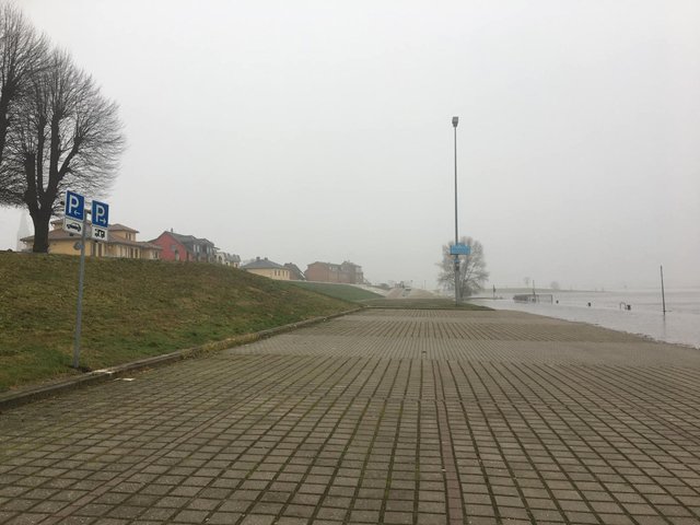 wittenberg2.jpg