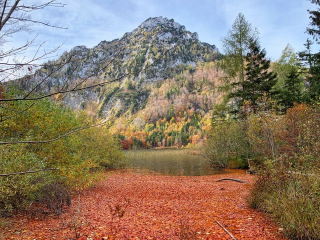 Laudachsee6.jpg