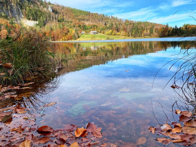 Laudachsee3.jpg