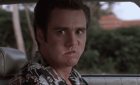 giphy (5).gif