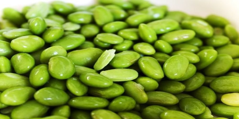 Ядра эдамаме. Эдамаме очищенные. Эдамаме очищенные. Эдамаме очищенные. Бобы эдамаме очищенные 500 гр.